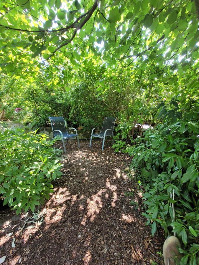 Ferienwohnung Riesling Bobenheim am Berg Exteriér fotografie