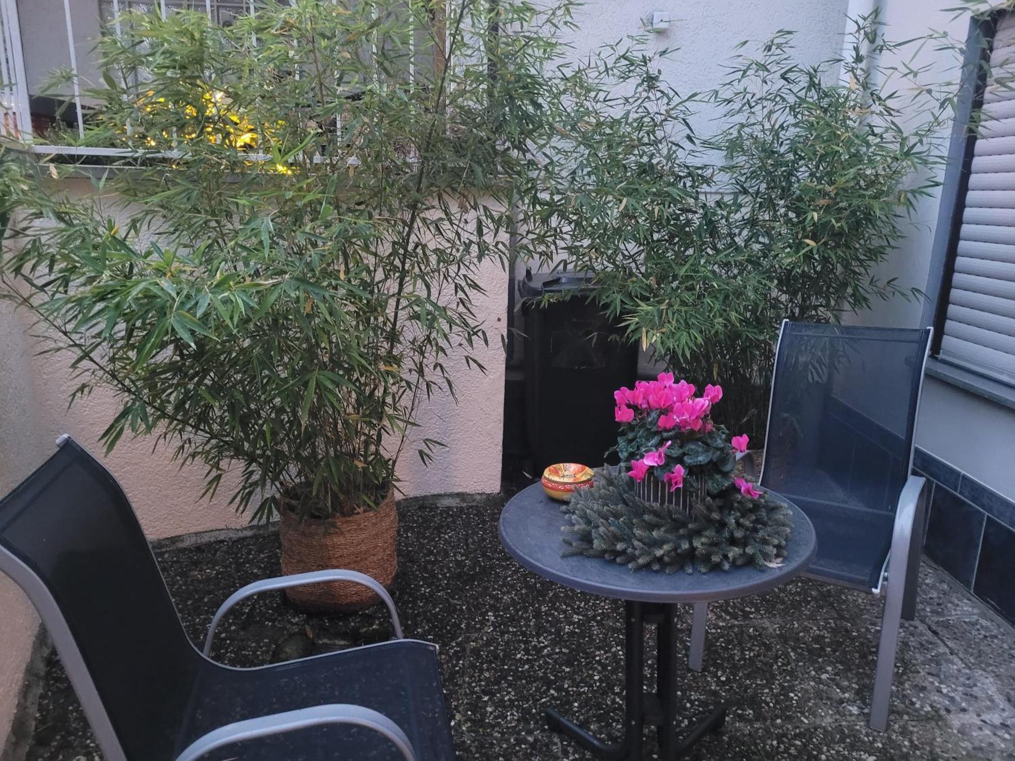 Ferienwohnung Riesling Bobenheim am Berg Exteriér fotografie